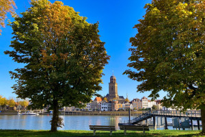 Deventer brengt bomen beter in beeld na initiatief van PvdA
